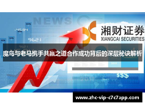 魔鸟与老马携手共赢之道合作成功背后的深层秘诀解析 魔鸟与老马携手共赢之道合作成功背后的深层秘诀解析